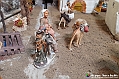 VBS_8407A - Presepe Chiesa di Martinetta Natale 2024
